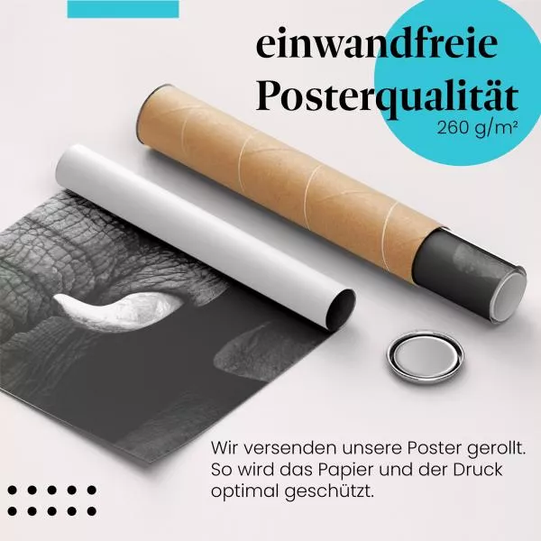 Elefant: Ausdrucksstarkes Porträt | Postereck 0218 Elefant: Ausdrucksstarkes Porträt | Postereck 0218