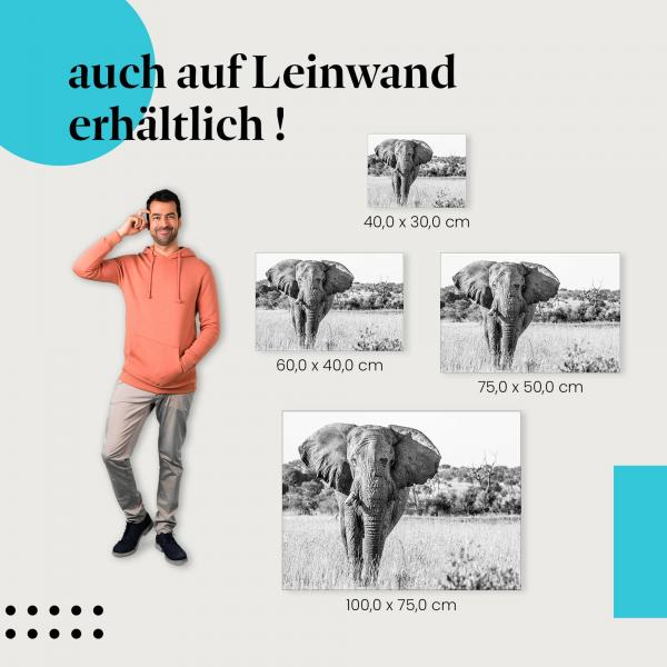 Leinwandbild "Elefant in der Savanne": Die Wildnis Afrikas für dein Zuhause