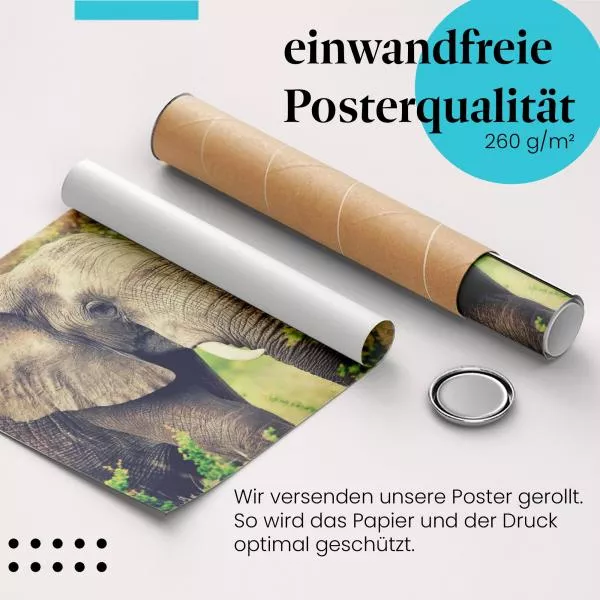 Angesicht des Giganten: Elefant | Postereck 1561 Angesicht des Giganten: Elefant | Postereck 1561