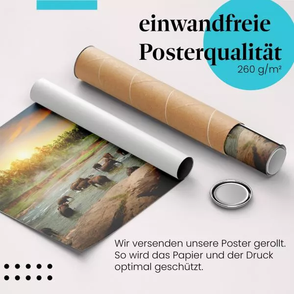 Elefantenbad | Postereck 2765 Elefantenbad | Postereck 2765