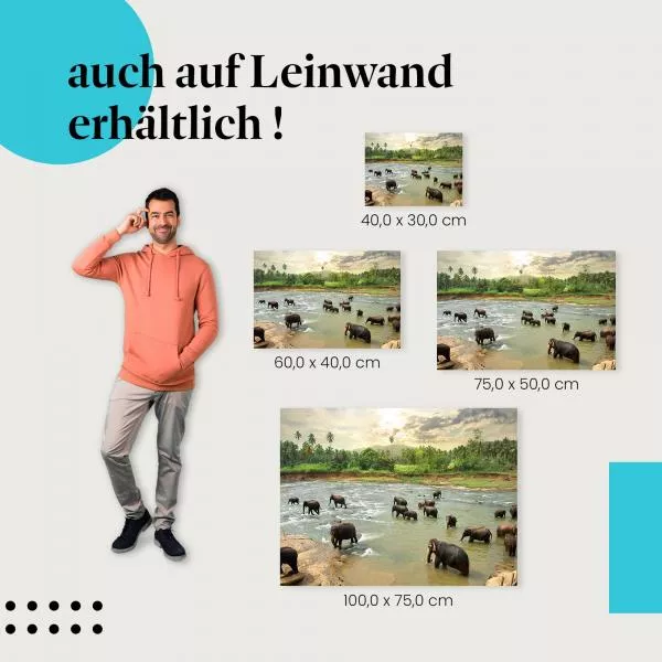 Elefanten am Fluss | Postereck 2591