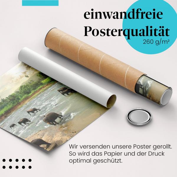 Gerolltes Poster "Elefanten am Fluss" - Tierische Erfrischung, sicher verpackt.