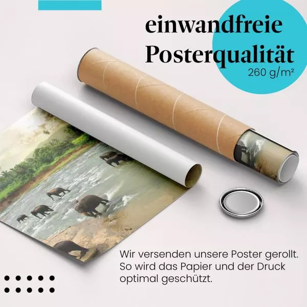 Elefanten am Fluss | Postereck 2591