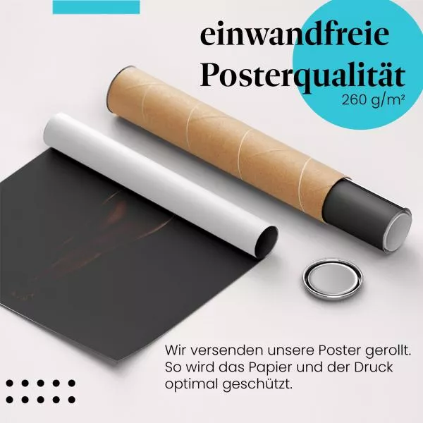 Nackte Frau mit Peitsche | Postereck 3044 Nackte Frau mit Peitsche | Postereck 3044