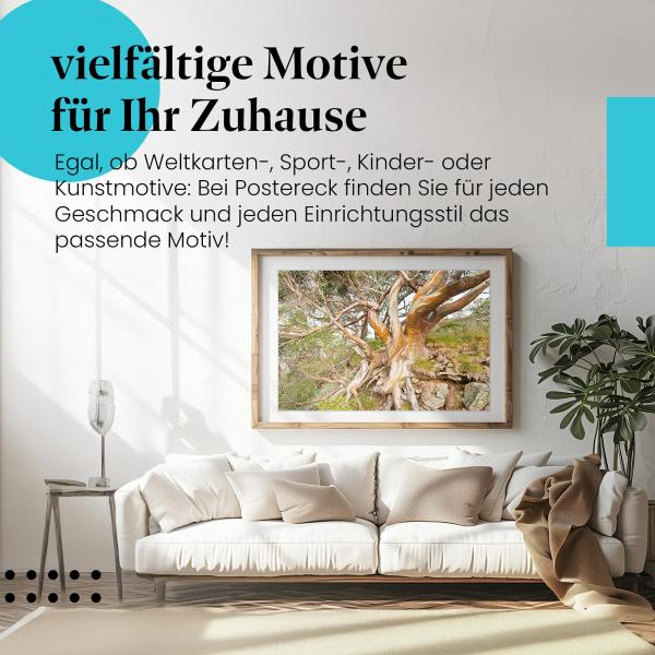 Leinwandbild "Eukalyptusbaum": Stamm, Farbenpracht, Musterung - einzigartig & faszinierend.