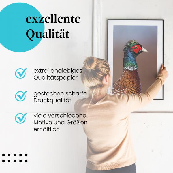 Gerahmtes Bild "Fasan". Vogel, buntes Gefieder, roter Augenring.