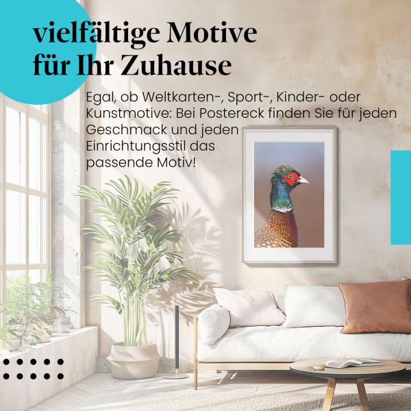 Leinwandbild "Fasan": Nahaufnahme, farbenprächtiges Federkleid - ein Hingucker!
