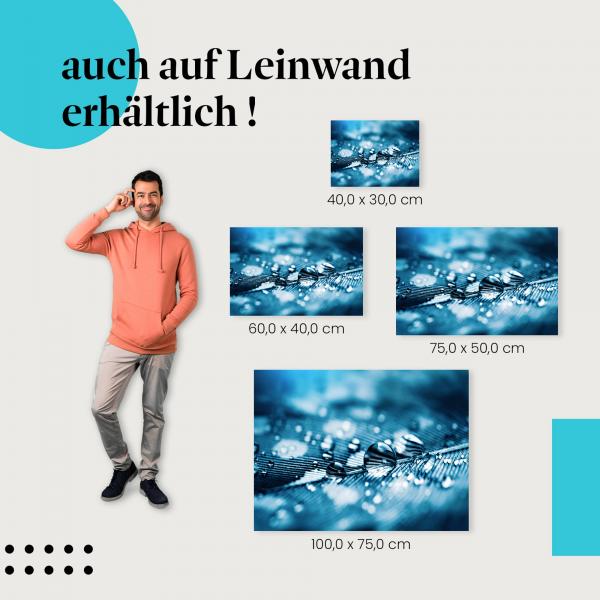 Feder: Leinwandbild. Makro, Wassertropfen.