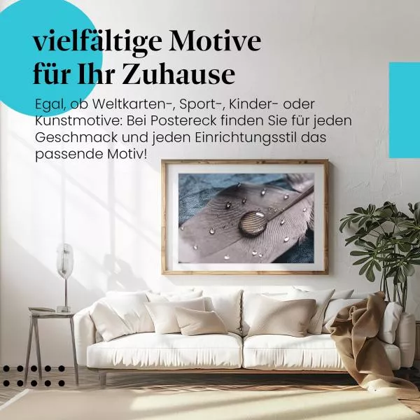 Wassertropfen auf Feder | Postereck 2212 Wassertropfen auf Feder | Postereck 2212