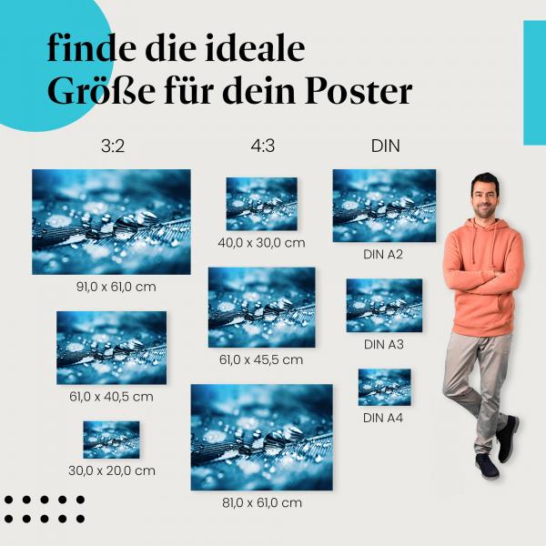 Feder, Poster: Makro, Wassertropfen, blau.