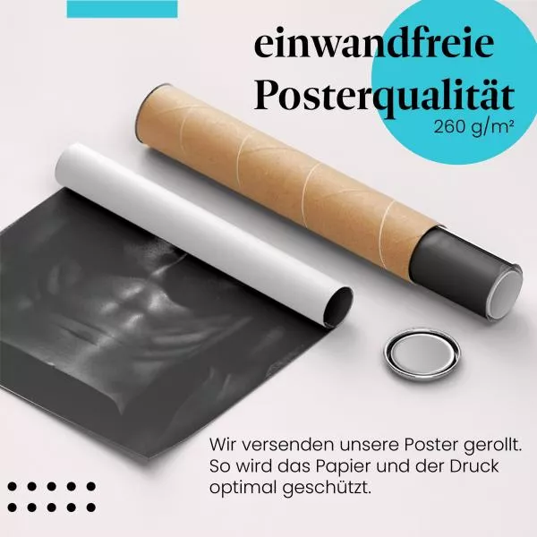 Muskulöser Oberkörper | Postereck 2695 Muskulöser Oberkörper | Postereck 2695