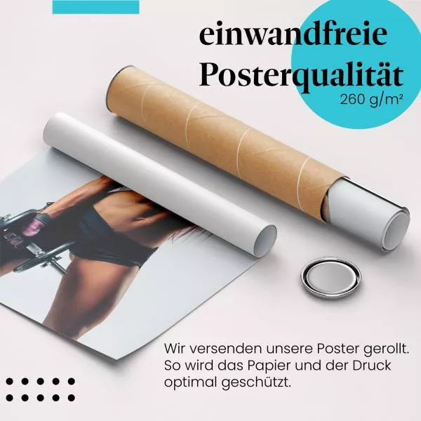 Sixpack | Postereck 3272 Sixpack | Postereck 3272