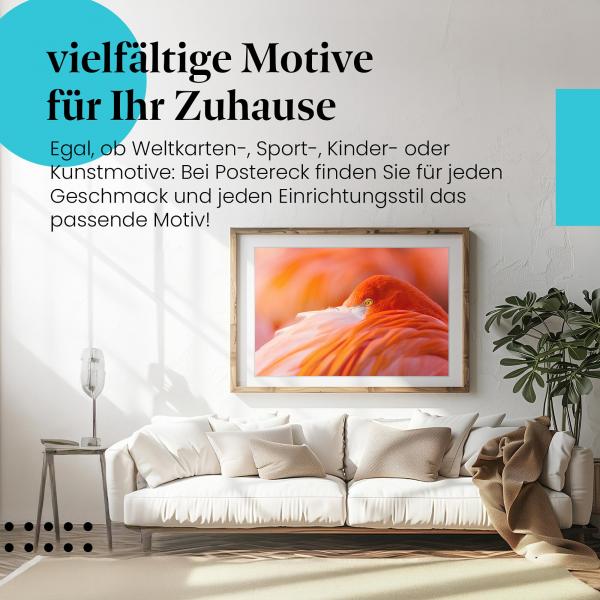Leinwandbild Flamingo: Tropisches Feeling mit Flamingo-Nahaufnahme.