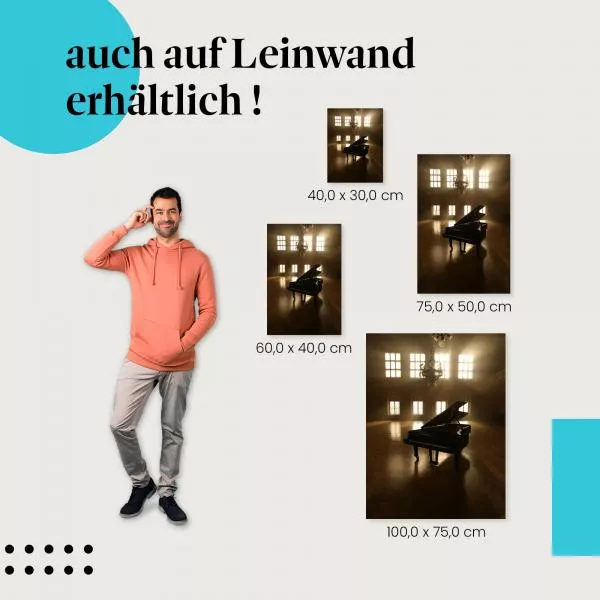 Musiksaal: Flügel im Licht | Postereck 0148 Musiksaal: Flügel im Licht | Postereck 0148