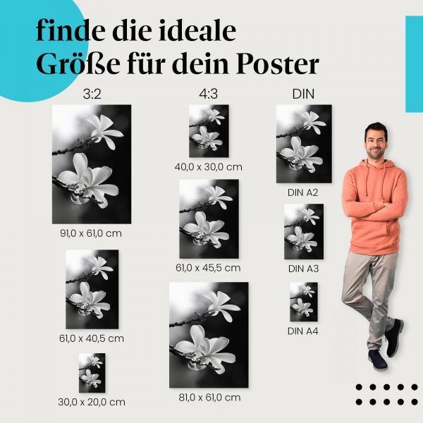 Frangipaniblüten Poster: Exotisches Flair in Schwarzweiß - jetzt entdecken!