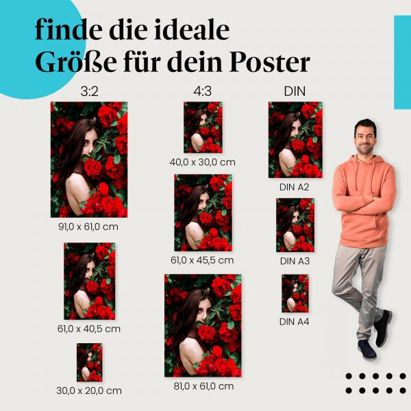 Frau, Poster: Rosen, rot, Blick, fesselnd.