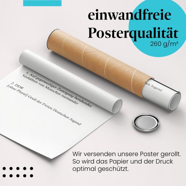 Gerolltes Poster "Freundschaft" - Beziehungen & Geschichte, sicher verpackt.