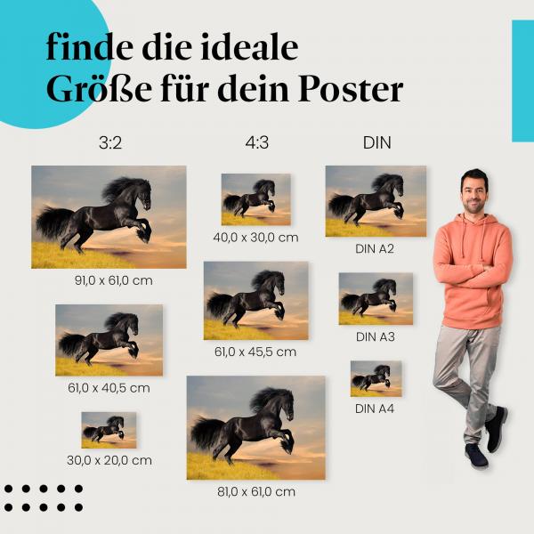 Friesenhengst Poster: Pferde Poster - jetzt Postergröße wählen!