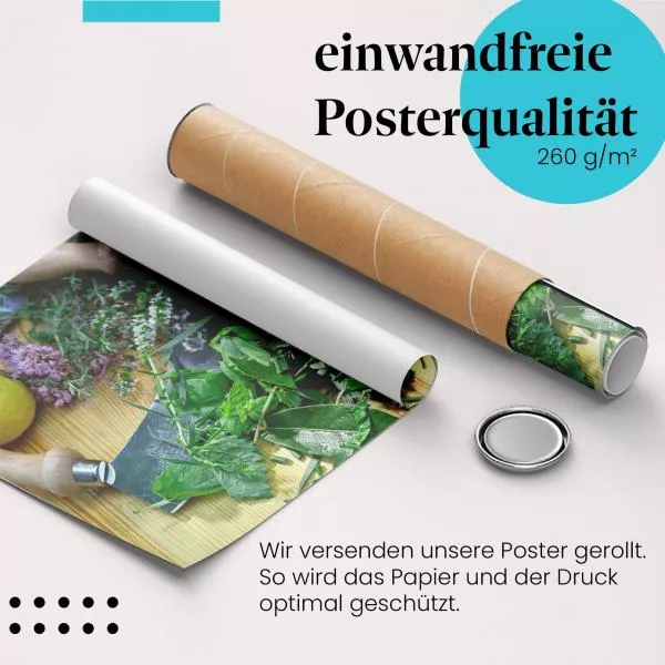 Frische Kräuter | Postereck 2551 Frische Kräuter | Postereck 2551
