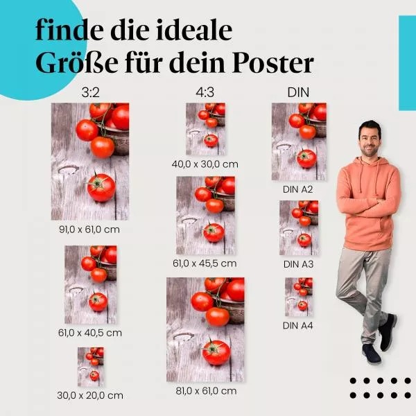 Frische Tomaten | Postereck 3252 Frische Tomaten | Postereck 3252