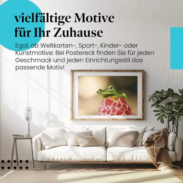Frosch auf Blüte | Postereck 4111 Frosch auf Blüte | Postereck 4111