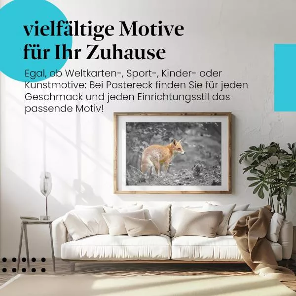 Roter Fuchs | Postereck 3455 Roter Fuchs | Postereck 3455