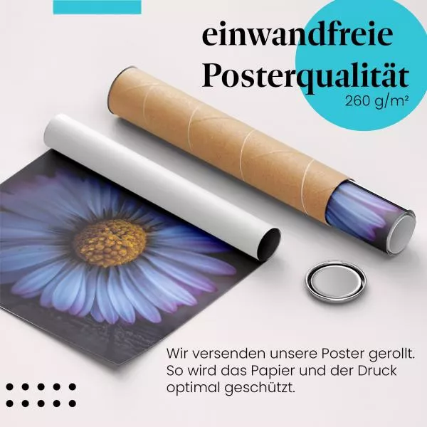 Gänseblümchen | Postereck 2899 Gänseblümchen | Postereck 2899