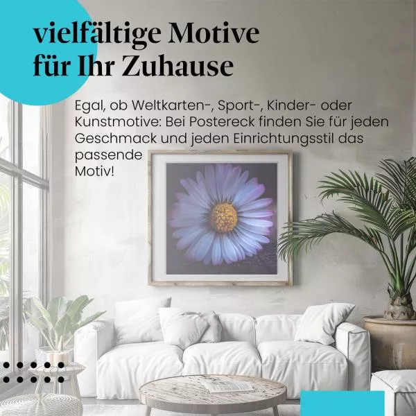 Gänseblümchen | Postereck 2899 Gänseblümchen | Postereck 2899