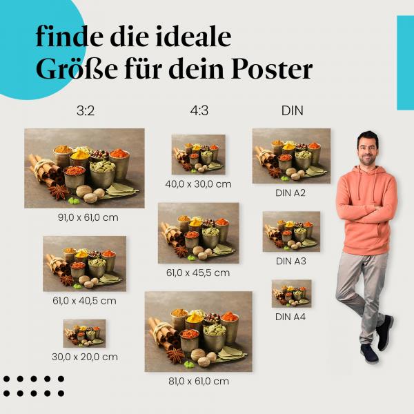 Gewürze, Poster: Schälchen, Zimt, Sternanis, Pfeffer.
