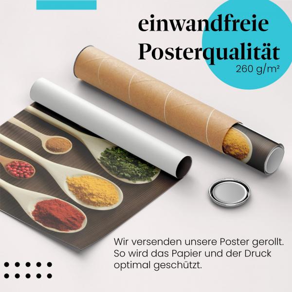 Gerolltes Poster "Gewürze in Löffeln".
