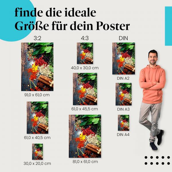 Gewürze & Kräuter Poster: Kochen - Poster in verschiedenen Größen.