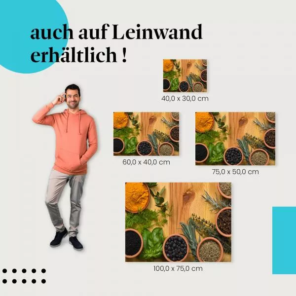 Gewürze & Kräuter | Postereck 2671 Gewürze & Kräuter | Postereck 2671