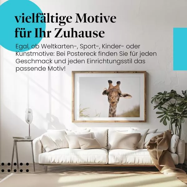Giraffe beim Fressen: Neugieriger Blick | Postereck 0703 Giraffe beim Fressen: Neugieriger Blick | Postereck 0703