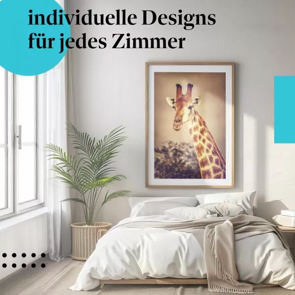 Giraffe: Sonnenuntergang, Savanne | Postereck 1526 Giraffe: Sonnenuntergang, Savanne | Postereck 1526