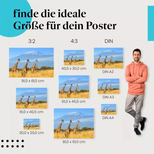 Giraffen am Kilimandscharo | Postereck 3422 Giraffen am Kilimandscharo | Postereck 3422