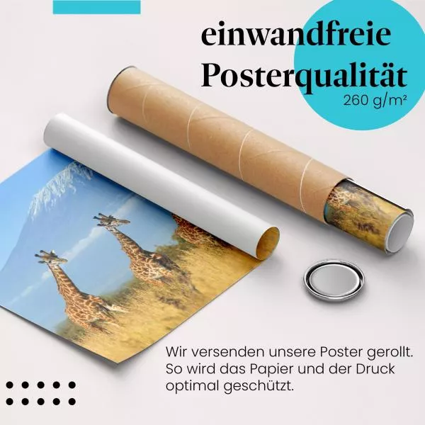 Giraffen am Kilimandscharo | Postereck 3422 Giraffen am Kilimandscharo | Postereck 3422