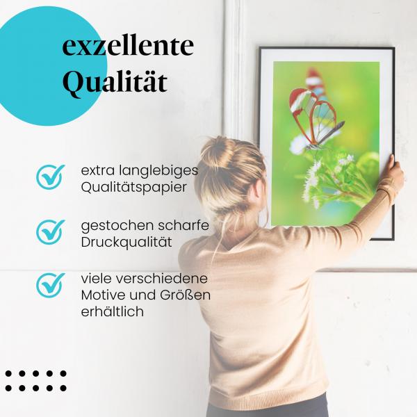 "Glasflügelfalter": Gerahmtes Wandbild - Blüte.