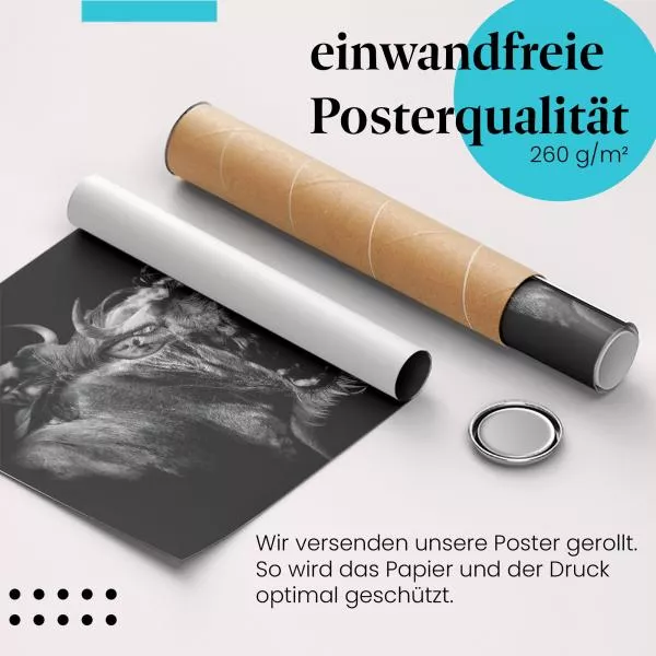 Gnus in der Savanne | Postereck 3423 Gnus in der Savanne | Postereck 3423
