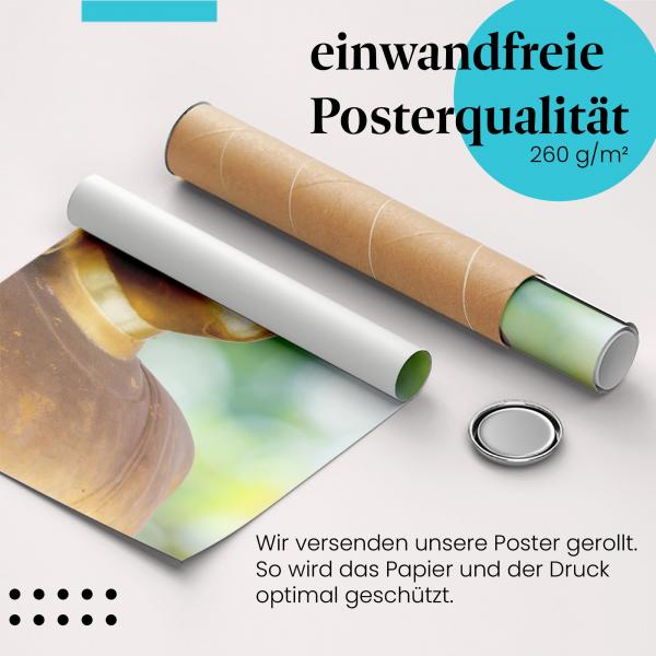 Gerolltes Poster "Buddha", goldene, Gelassenheit.