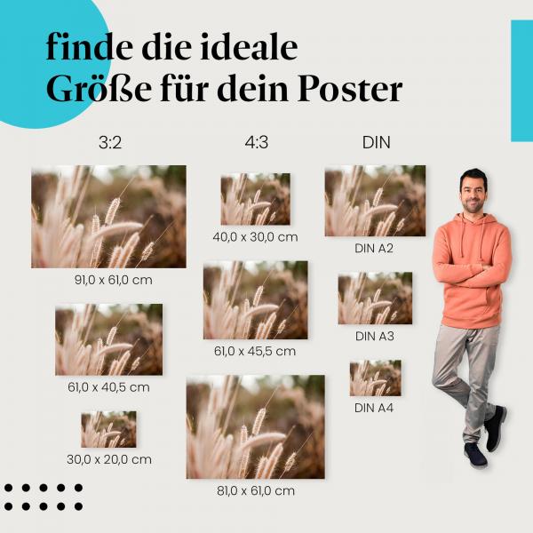 "Goldene Gräser": Poster mit warmen Farben & Nahaufnahme von Gräsern