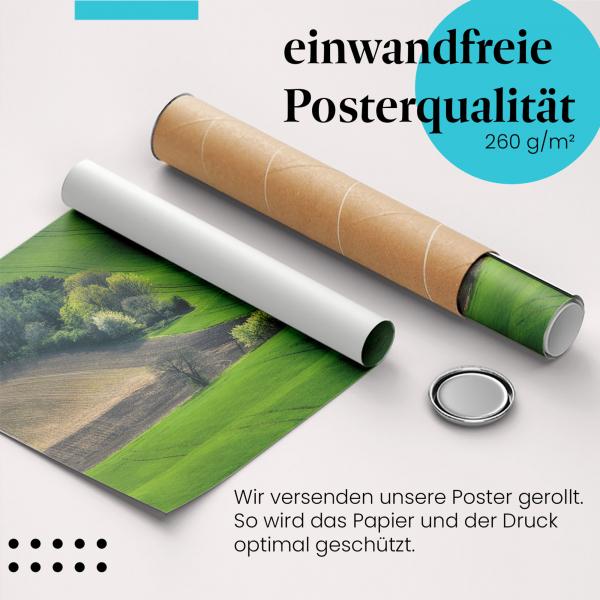 Gerolltes Poster "Hügel & Bäume" - Frühling & Natur, sicher verpackt.