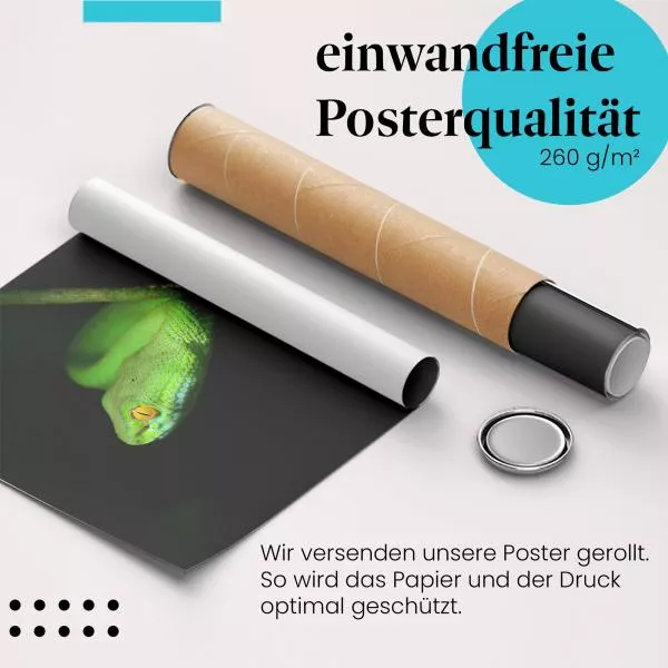 Grüne Viper: Dschungel | Postereck 1806 Grüne Viper: Dschungel | Postereck 1806