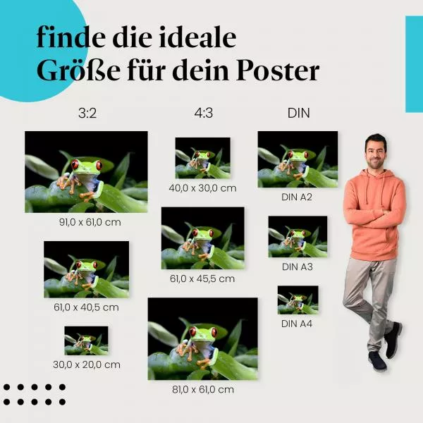 Neugieriger Frosch: Rote Augen & Grüne Blätter | Postereck 0204 Neugieriger Frosch: Rote Augen & Grüne Blätter | Postereck 0204