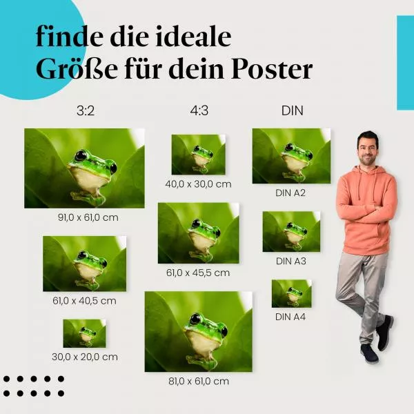 Versteckter Frosch: Grüne Blätter & Neugier | Postereck 0208 Versteckter Frosch: Grüne Blätter & Neugier | Postereck 0208