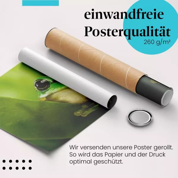 Versteckter Frosch: Grüne Blätter & Neugier | Postereck 0208 Versteckter Frosch: Grüne Blätter & Neugier | Postereck 0208