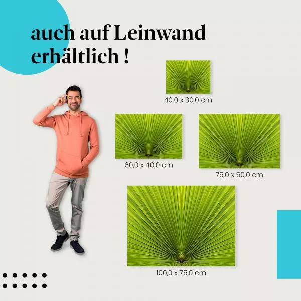 Palmblatt: Nahaufnahme | Postereck 1789 Palmblatt: Nahaufnahme | Postereck 1789
