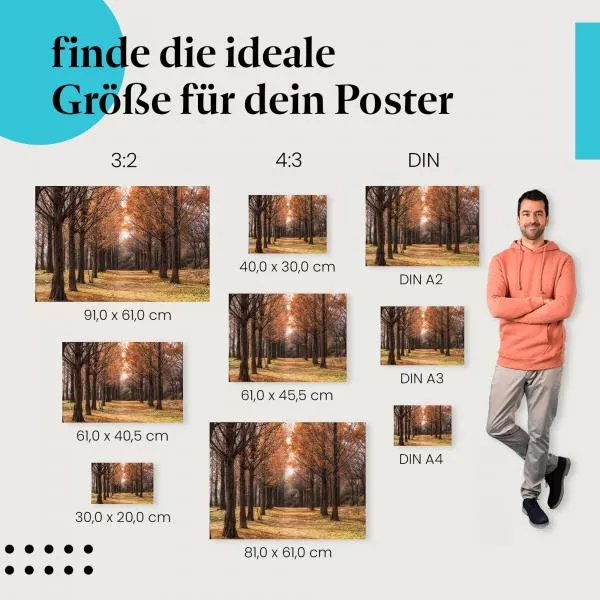 Herbst: Farbenfrohe Allee | Postereck 1935 Herbst: Farbenfrohe Allee | Postereck 1935