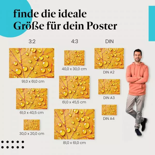 Herbstblatt | Postereck 3852 Herbstblatt | Postereck 3852