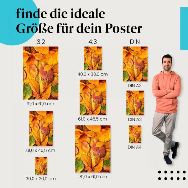 "Farbenpracht des Herbstes": Poster - Herbstlaub in Gelb-, Orange- & Rottönen