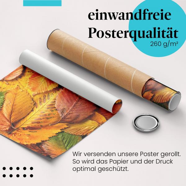 "Herbst": Gerolltes Poster - Laub, Farbenpracht.